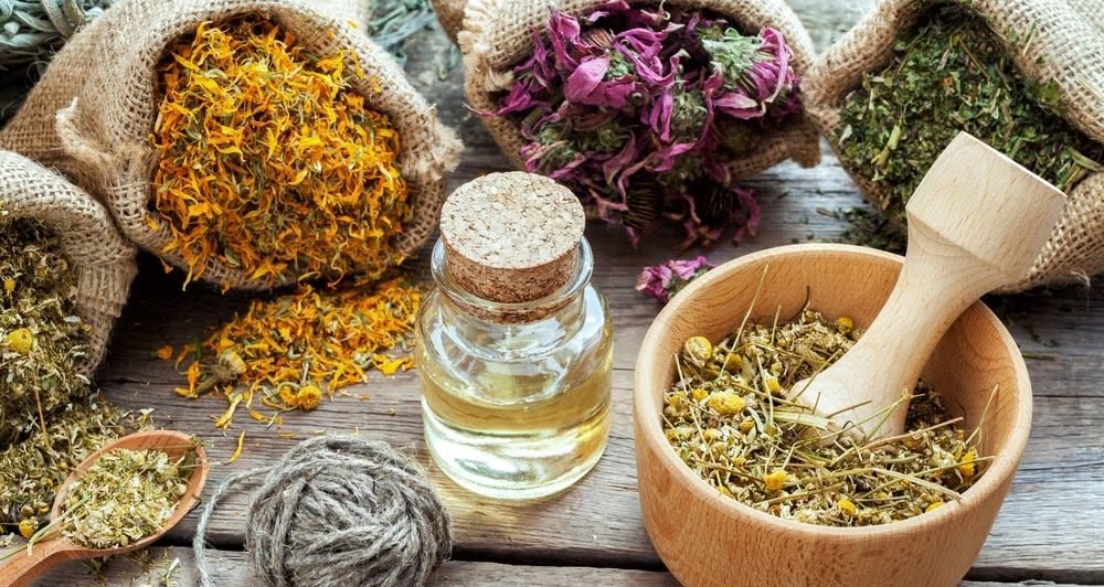Plantas medicinales