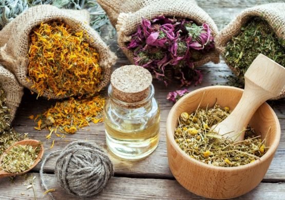 Plantas medicinales