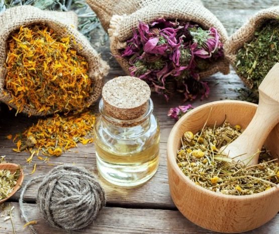 Plantas medicinales
