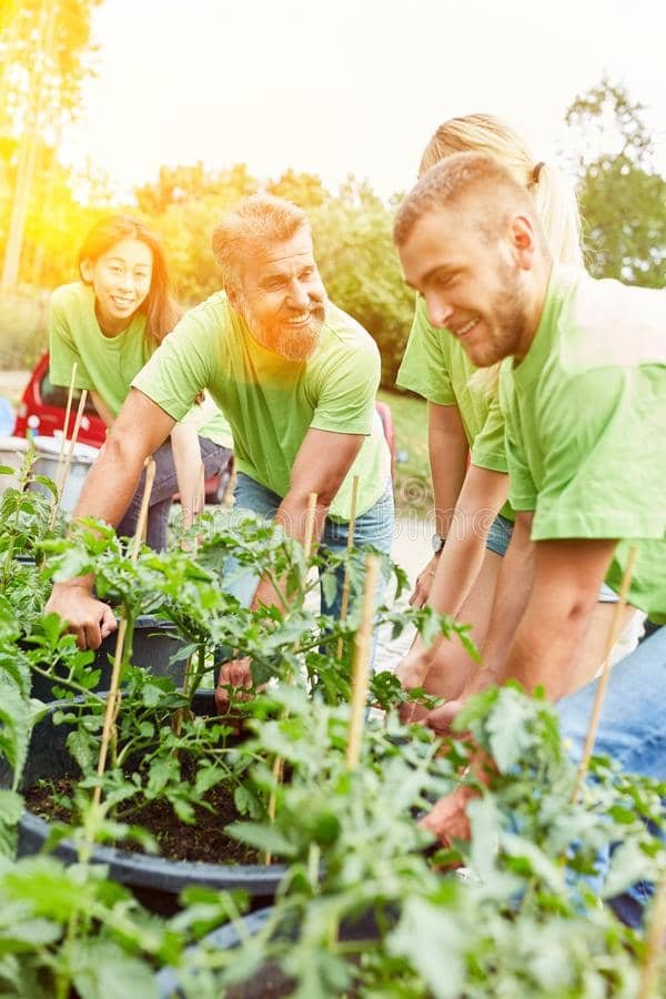 Voluntarios